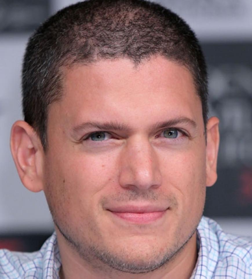 Wentworth Miller ist uns vor allem aus der Serie