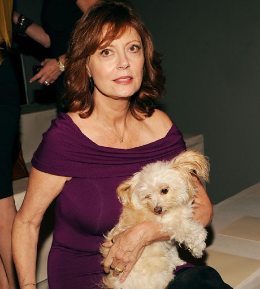 Süß! Hollywood-Star Susan Sarandon brachte ihren Hund mit zur Show
