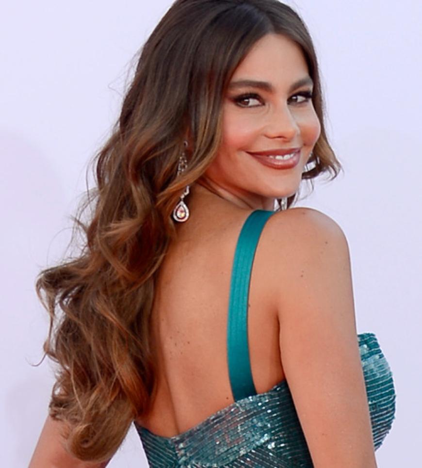 Sofia Vergara gehört inzwischen zu den bestbezahlten TV-Stars der Welt