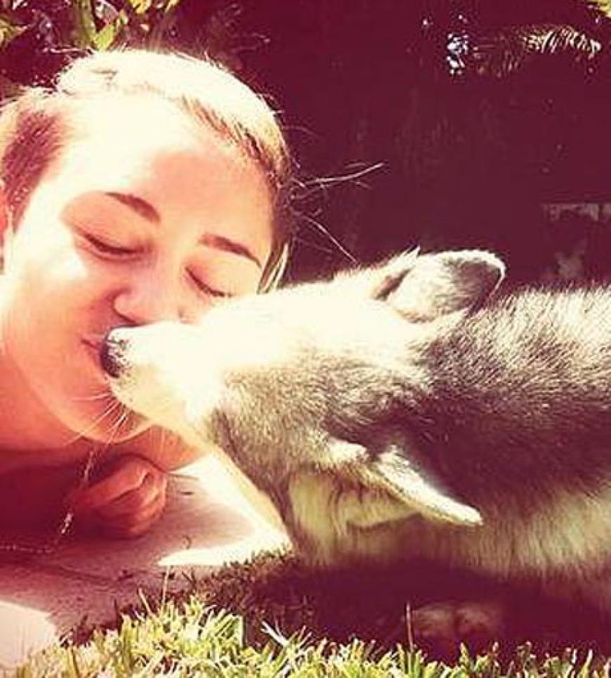 Miley Cyrus knutscht am liebsten mit ihrem Hundewelpen