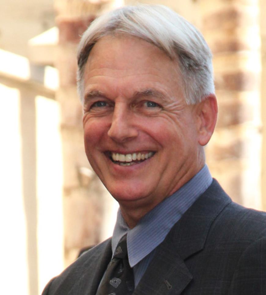 Neue Jahre spielt Mark Harmon schon in der Krimiserie