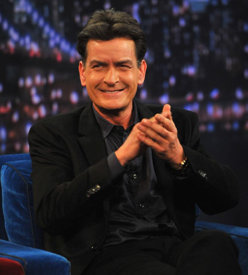Bill Murray, Michael Douglas oder Charlie Sheen haben alle eins gemeinsam: Sie sind sexsüchtig. Auch viele ihrer Hollywood-Kollegen bekennen sich zu dieser Krankheit - einige lassen sich deswegen sogar behandeln