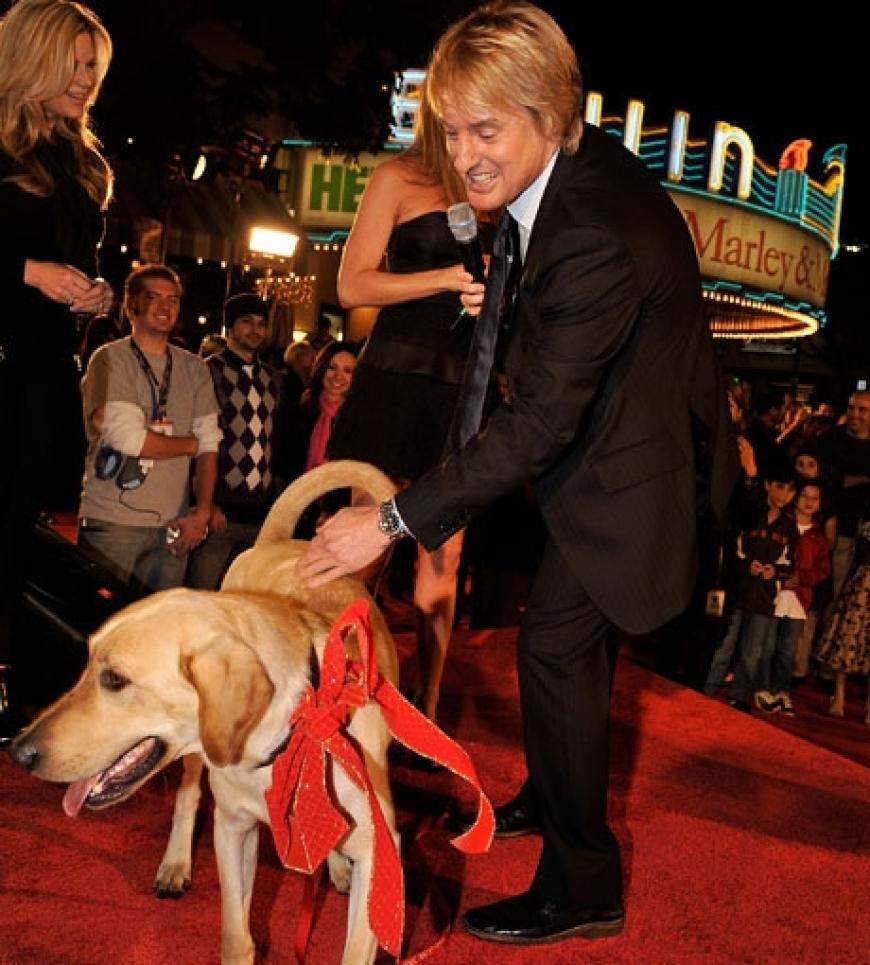 Owen Wilson