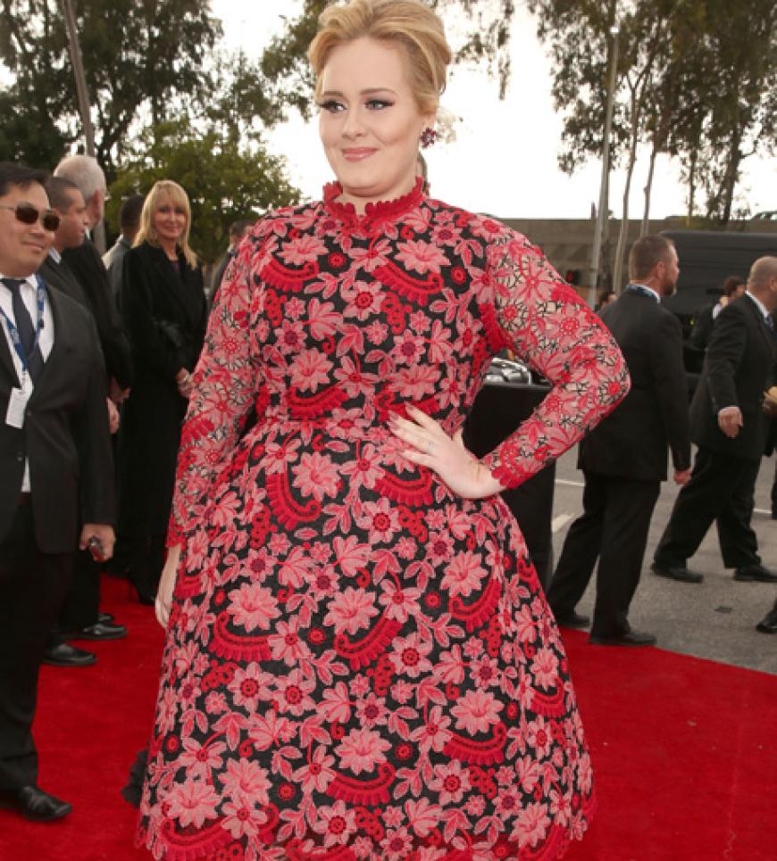 Am Sonntagabend, 10. Februar 2013, wurde in Los Angeles der wichtigste Musikpreis der Welt verliehen: Die 55. Grammy-Awards lockten die Superstars an - natürlich durfte Stimmenwunder Adele nicht fehlen