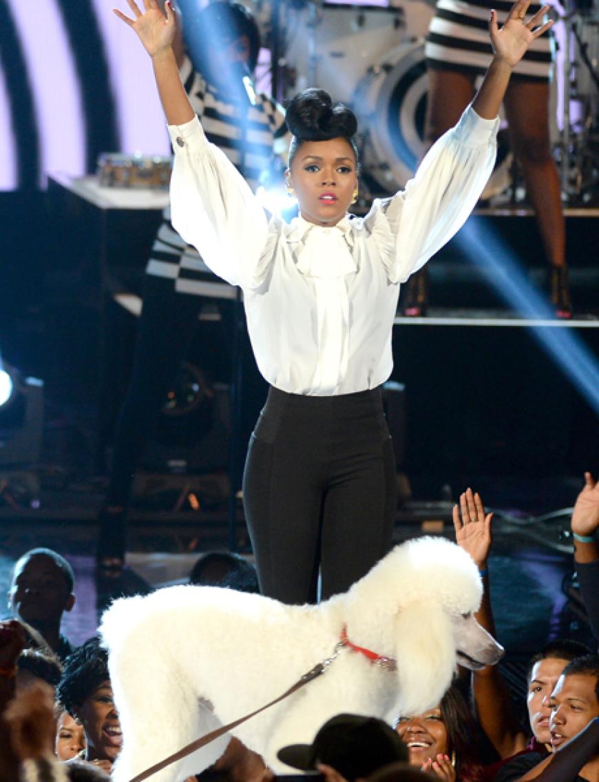 Janelle Monae brachte einen Pudel mit auf die Bühne. Wenn das mal nicht den Tierschutz alarmiert!