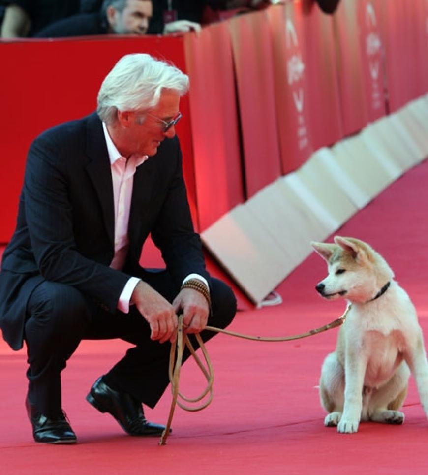 US-Star Richard Gere begeistert mit dem Hund und Filmpartner