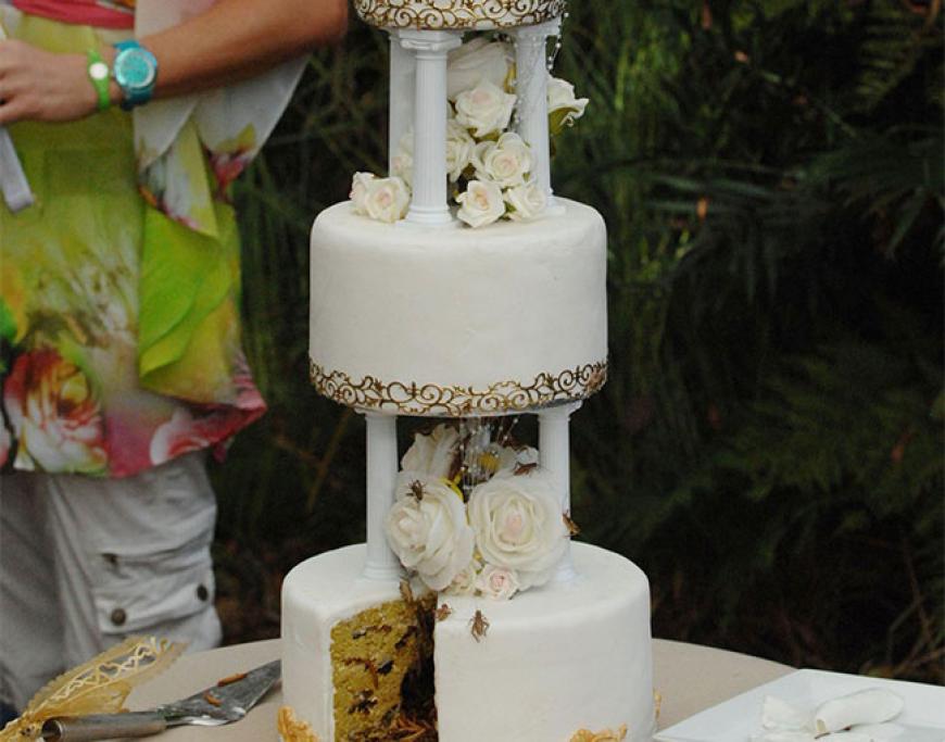 Am Ende wartet die prächtige Hochzeitstorte, bestehend aus Gelee gefüllt mit´ Mehlwürmern, Kakerlaken und Grillen
