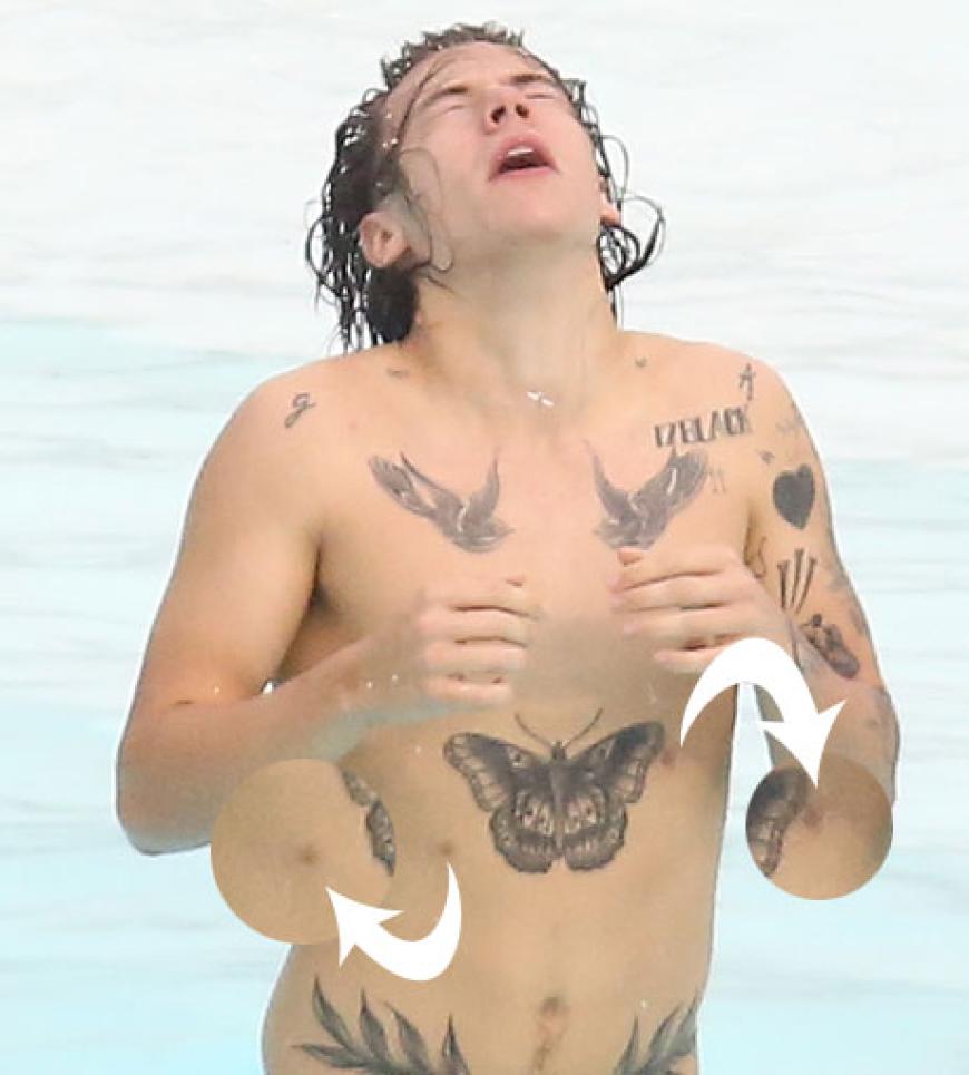 Wer hätte das gedacht? Mädchenschwarm und One-Direction-Star Harry Styles hat nicht 2, nicht 3 - sondern vier Brustwarzen!