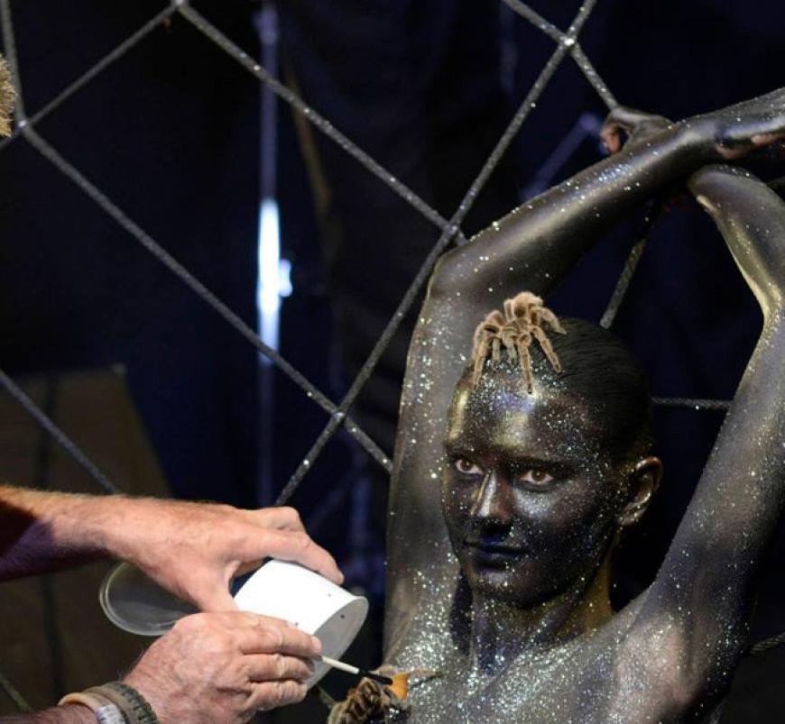 Die Mädchen müssen diesmal ganz mutig sein - nur ein Bodypainting mit Glitzerstaub trennt die Kandidatinnen von dem Achtbeiner