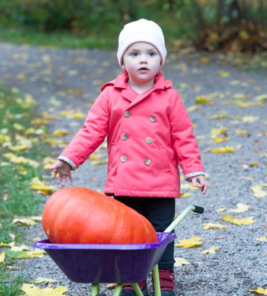 Herbstgrüße von der kleinen Prinzessin! Im November 2013 schiebt Estelle einen XXL-Kürbis