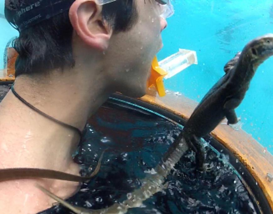 Mit dem Mund muss Patrick nun die Sterne aus den Hauben fischen