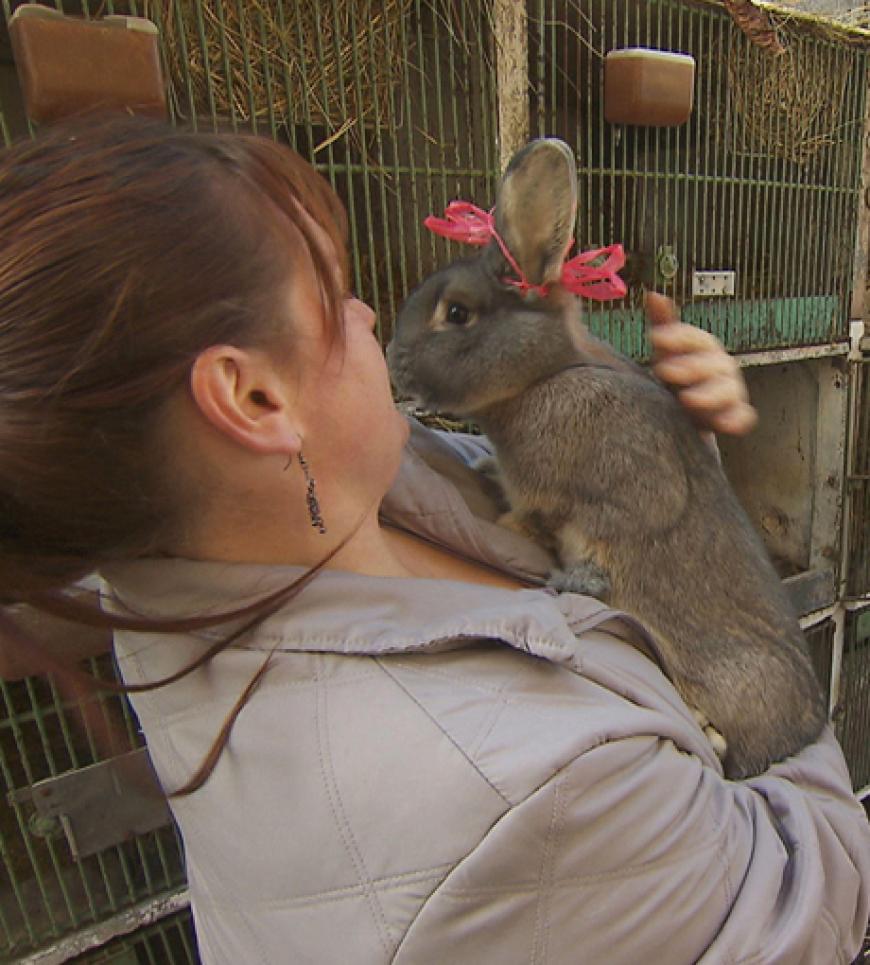 Und Peter hat als Überraschung sogar zwei weitere Kaninchen für Nicole besorgt...