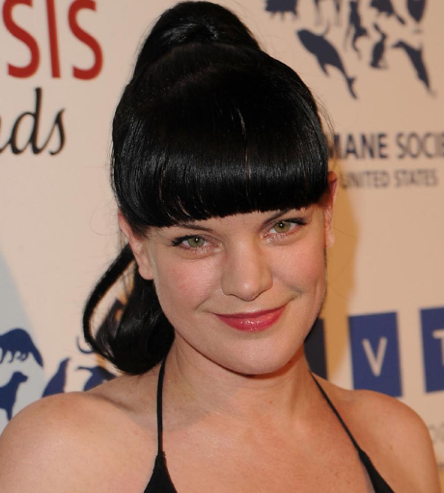 Schauspielerin Pauley Perrette