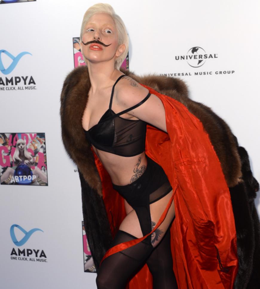 Schnauzer und Dessous: fertig ist der Gaga-Look!