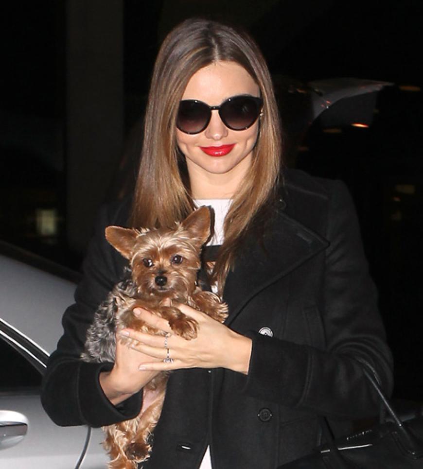 Unterwegs mit dem Wau-wau: Miranda Kerr auf Achse mit Hündchen