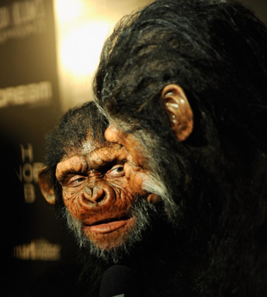 Kaum wieder zu erkennen. Für diesen Look verbrachte das damalige Paar Stunden in der Maske