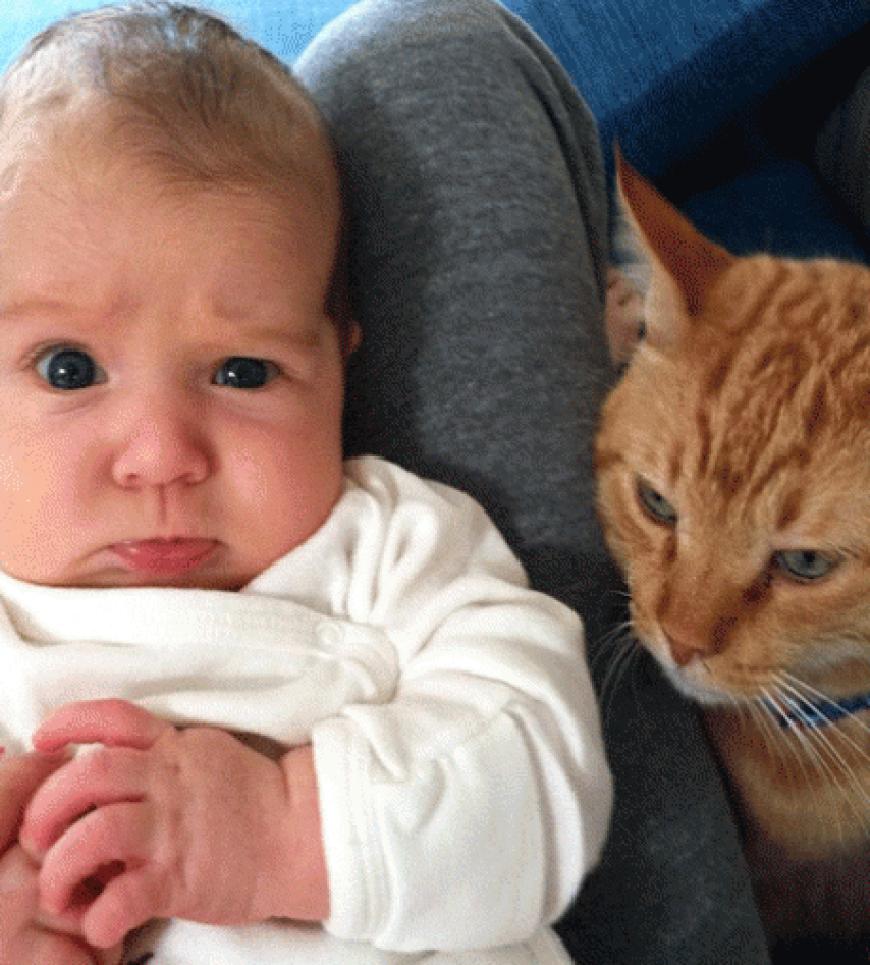 Dieses Foto ihrer kleinen Tochter twitterte Hannigan - und kommentierte: