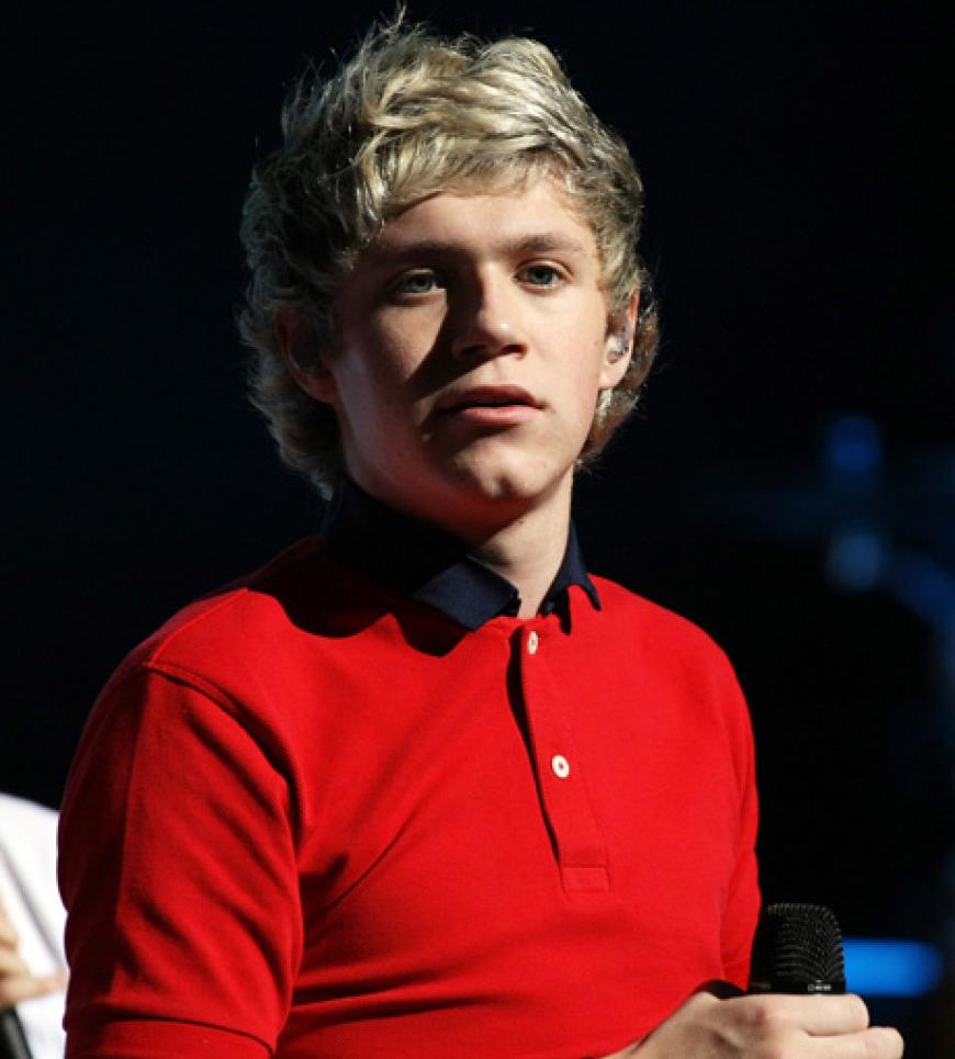 Der blonde Niall Horan wurde am 13. September 1993 in Irland geboren