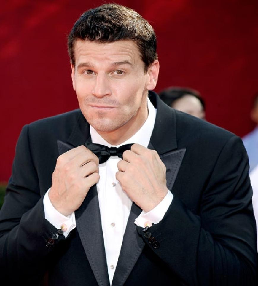 Letzte Handgriffe: Schauspieler David Boreanaz zupft sich die Fliege zurecht, damit das Outfit auch perfekt sitzt