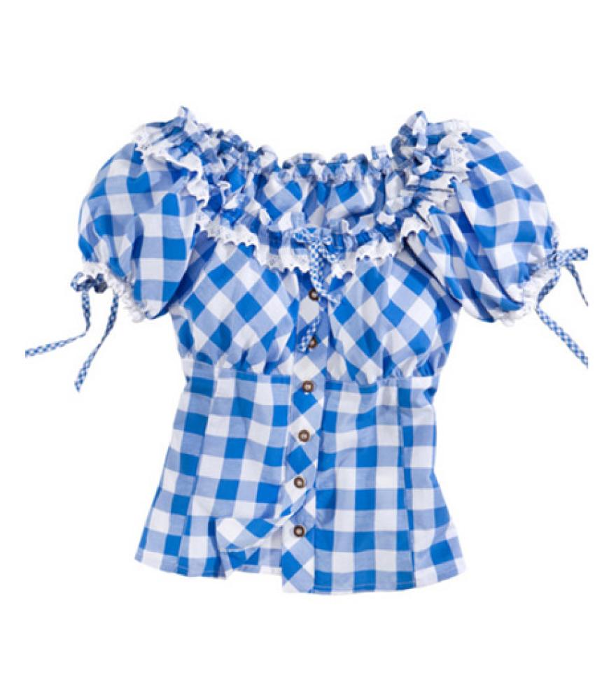 Typisch Bayrisch! Blau-Weiß karierte Bluse von Charles Vögele, ca. 35 Euro