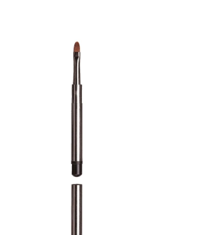 Lippenpinsel