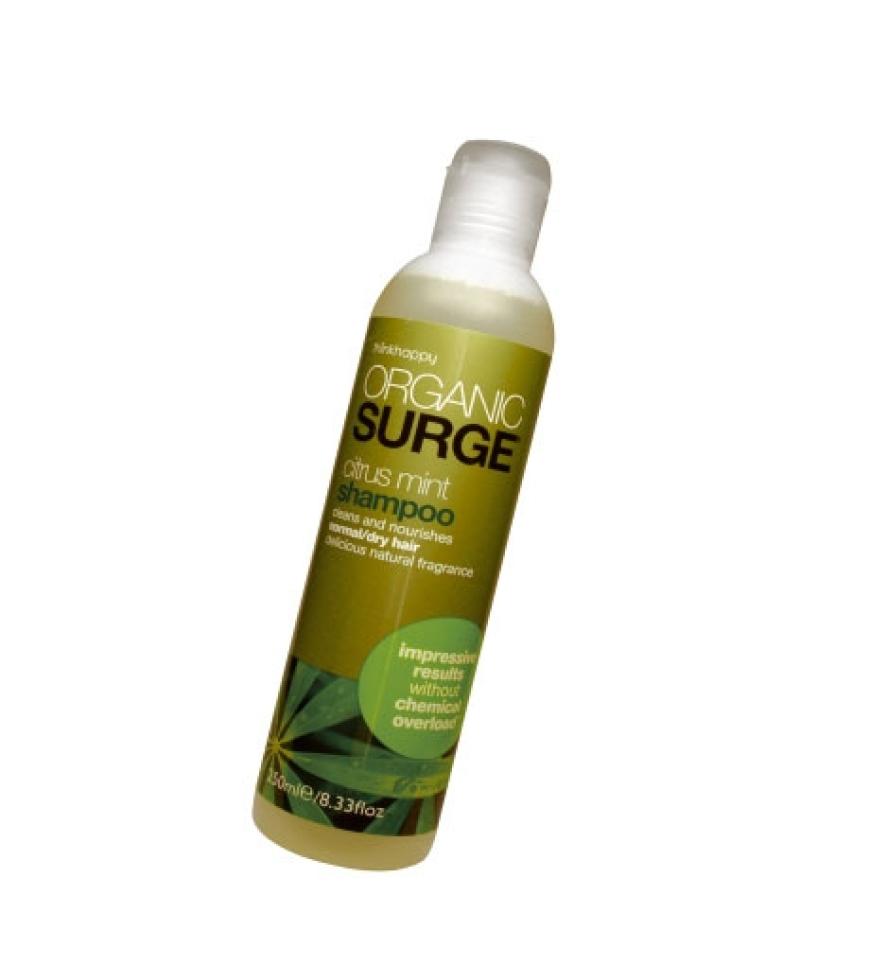 Für die Haare: Im Frühling kam die Rettung für trockenes Haar in den Handel: Citrus Mint Shampoo von Organic Surge, 250 ml ca. 8 Euro