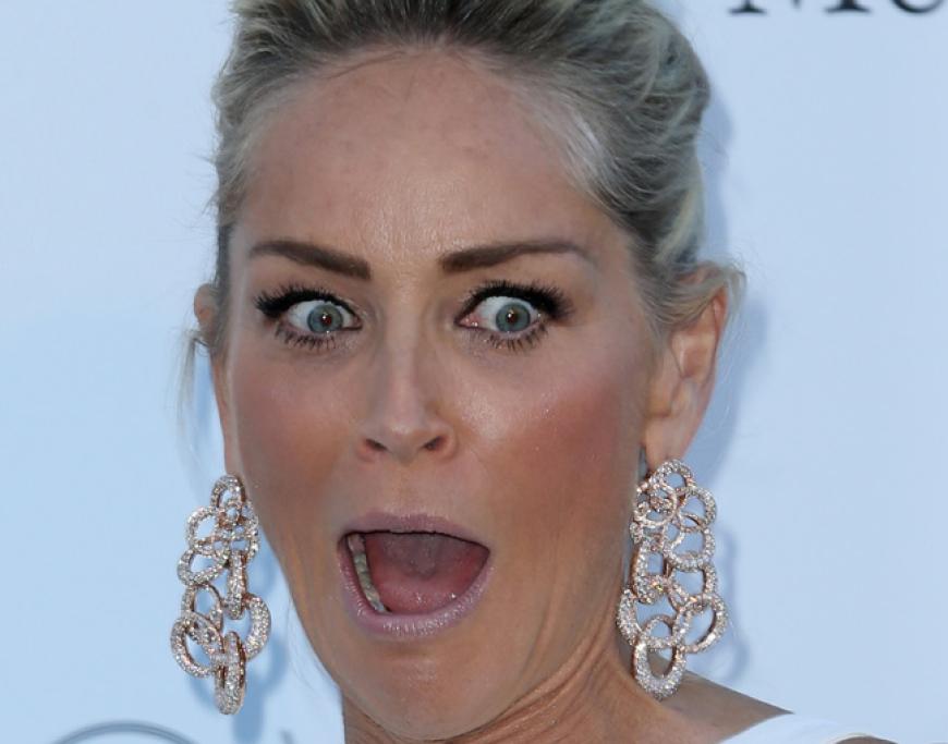 Der gehört zu Sharon Stone. Aber was hat dem Hollywood-Star wohl so die Sprache verschlagen?