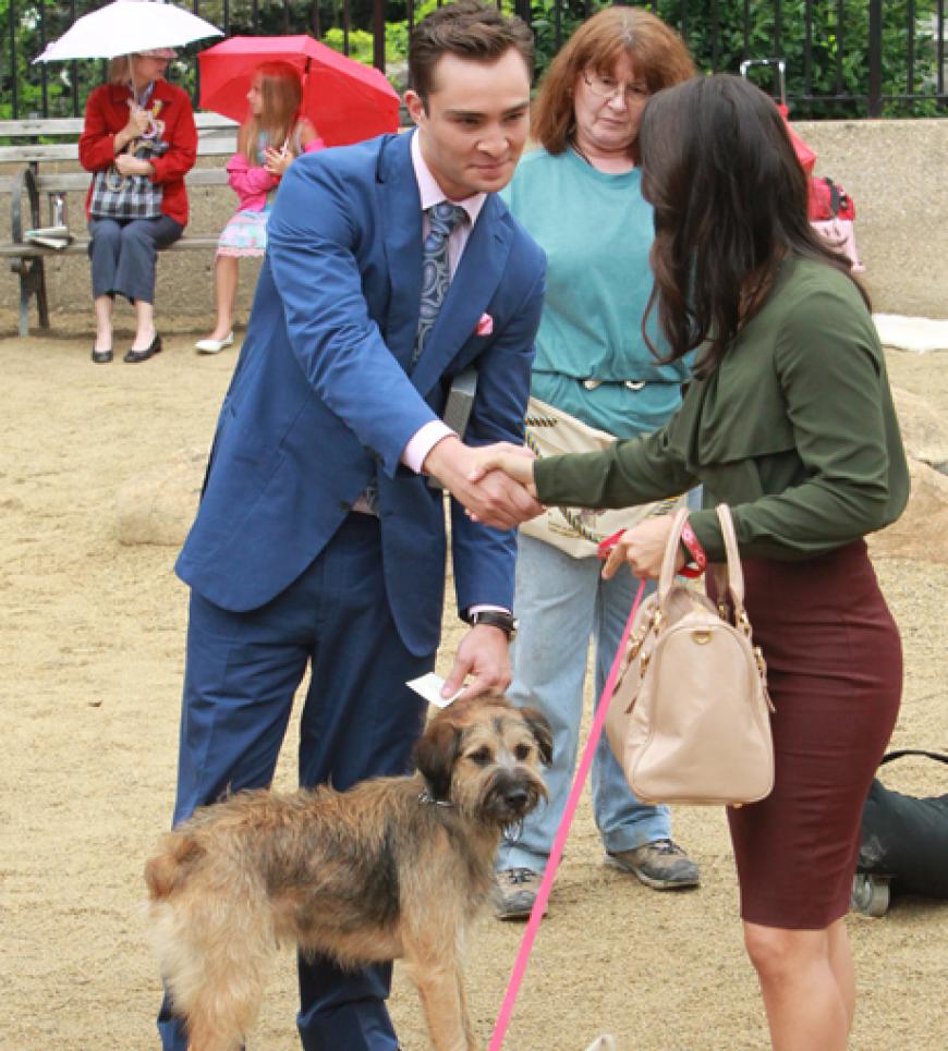 Ed Westwick geht mit einem Hund im Park spazieren - seine neue Masche, um Frauen aufzureißen?