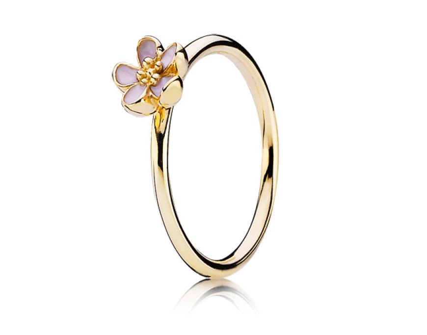 Ring, ca. 350 Euro von Pandora
