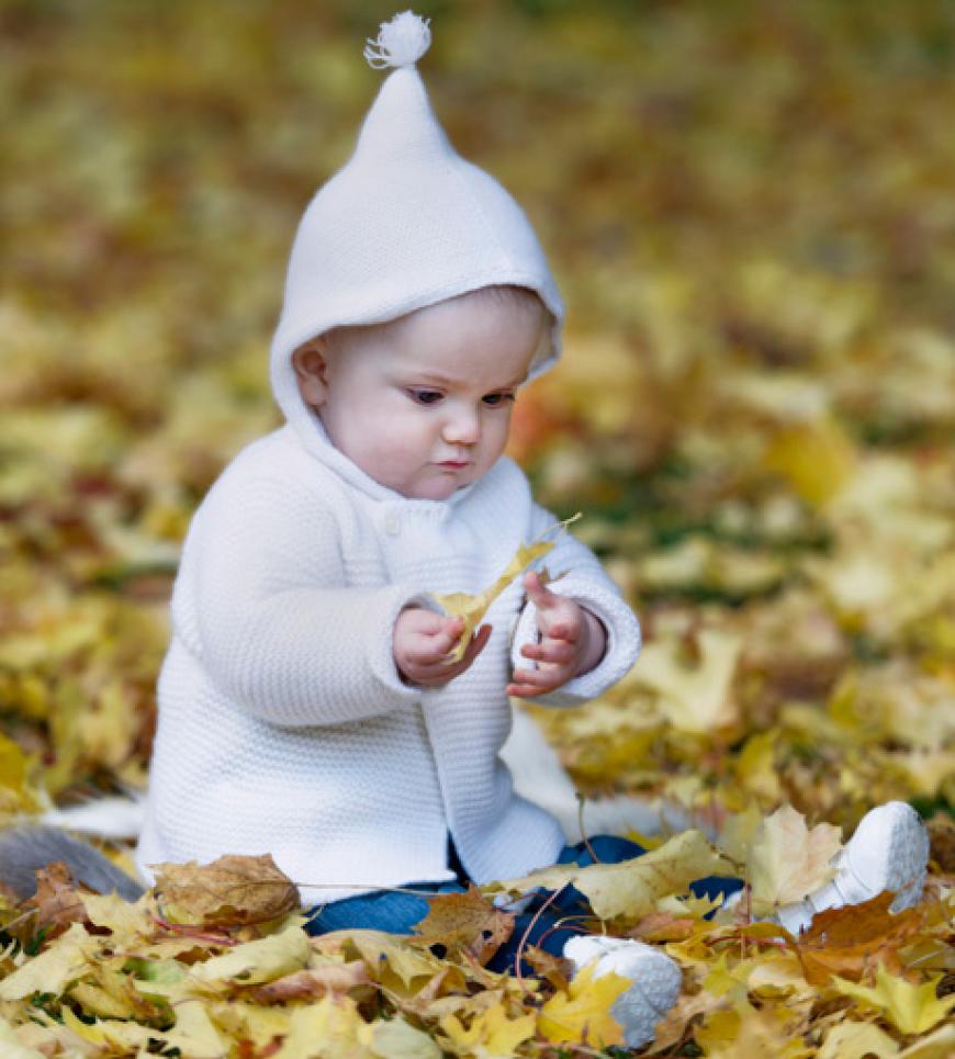 Das erste Herbstlaub! Estelle nimmt es analytisch unter die Lupe