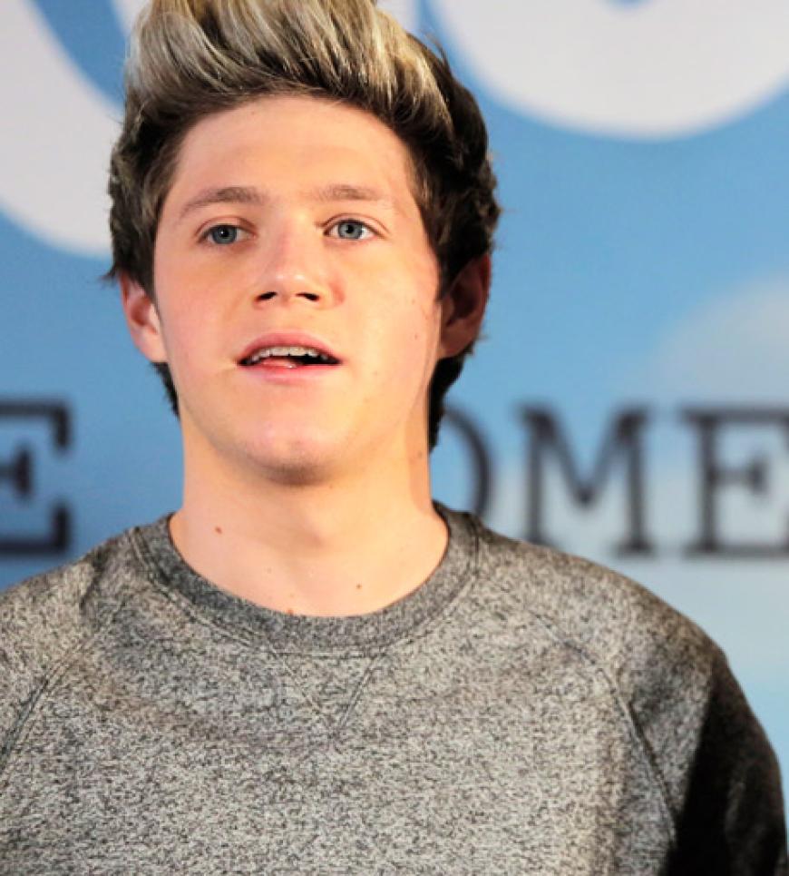 One-Direction-Star Niall Horan ist mit einem Schrecken davongekommen: Sein Auto krachte in die Leitplanke One-Direction-Star Niall Horan ist mit einem Schrecken davongekommen: Sein Auto krachte in die Leitplanke