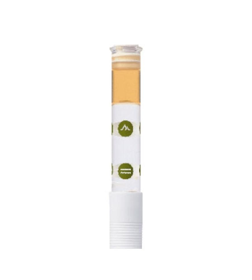 Scalp Remedy Balancing Concentrate repariert und besänftigt die Kopfhaut, nur in Aveda-Salons, Behandlung (45-60 Minuten) ca. 45 Euro