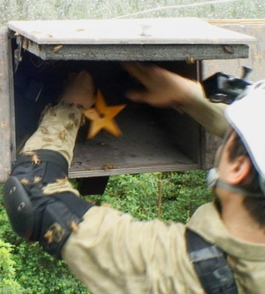 In einem Versteck in der Gondel versucht er an den Stern zu kommen. Dabei hat er mit Insekten zu kämpfen