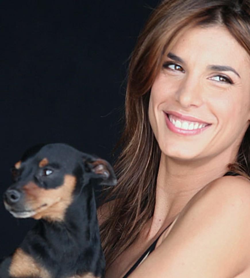 Die Freundin von George Clooney hat ein großes Herz für Tiere
