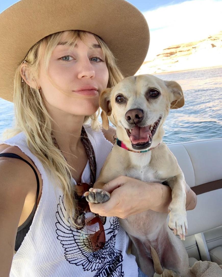 Miley Cyrus kann nicht ohne ihre Tiere: Auch bei einer Bootstour durfte der kleine Beanie nicht fehlen.
