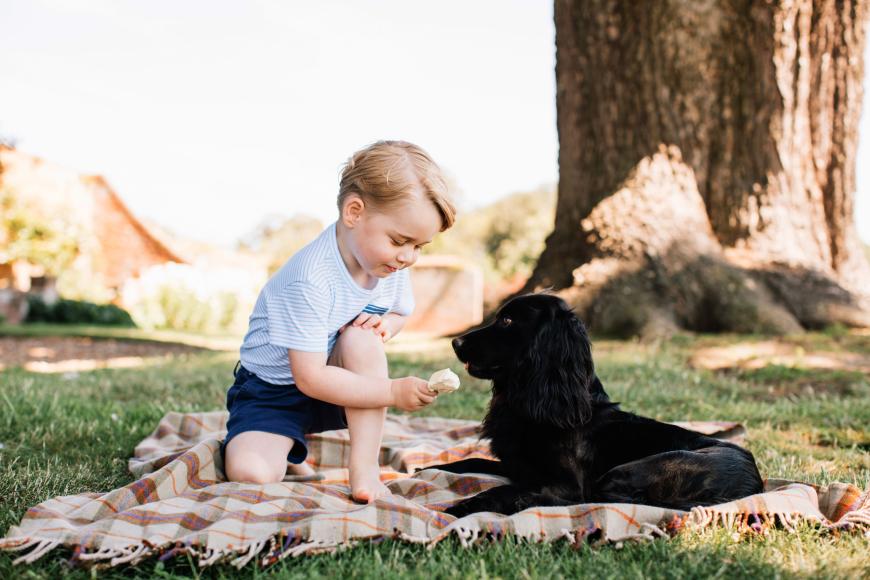 Auch Familienhund Lupo darf auf den Geburtstagsbildern von Prinz George nicht fehlen!