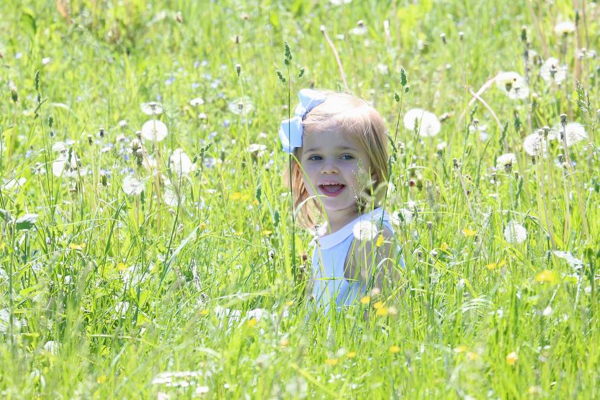 Wie im Sommermärchen: Prinzessin Leonore besucht mit ihren Eltern die schwedische Insel Gotland.