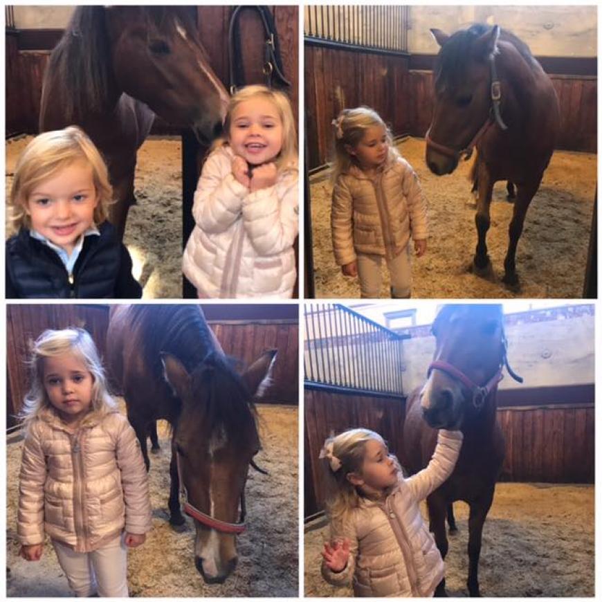 Die kleine Leonore ist nicht nur Prinzessin von Schweden, sondern auch Herzogin von Gotland. Und zur Taufe hat sie ein Pony aus der Region geschenkt bekommen namens Heidi! Jetzt war es wieder Zeit, das Tier zu besuchen - und die Wiedersehensfreude war groß! Auch Brüderchen Nicolas war mit dabei. Und, wer weiß, vielleicht sind sie beim nächsten Besuch zu dritt? Denn Mama Madeleine von Schweden ist wieder schwanger.