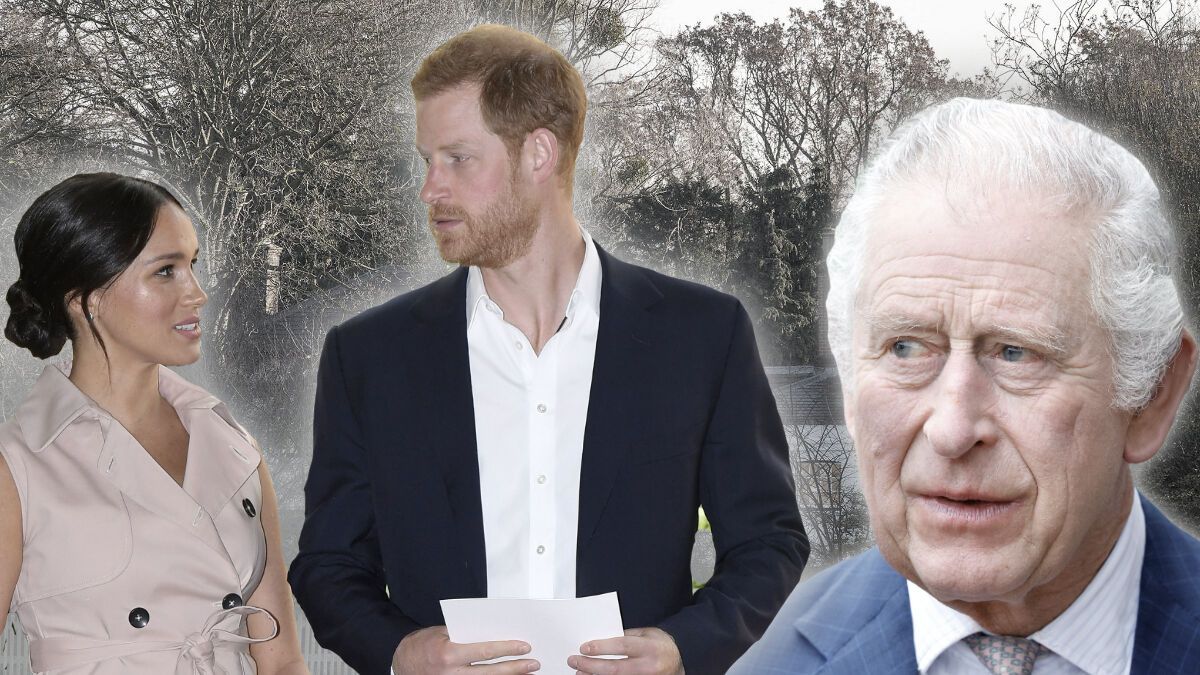 revenge?  What is really behind Prince Harry’s expulsion
