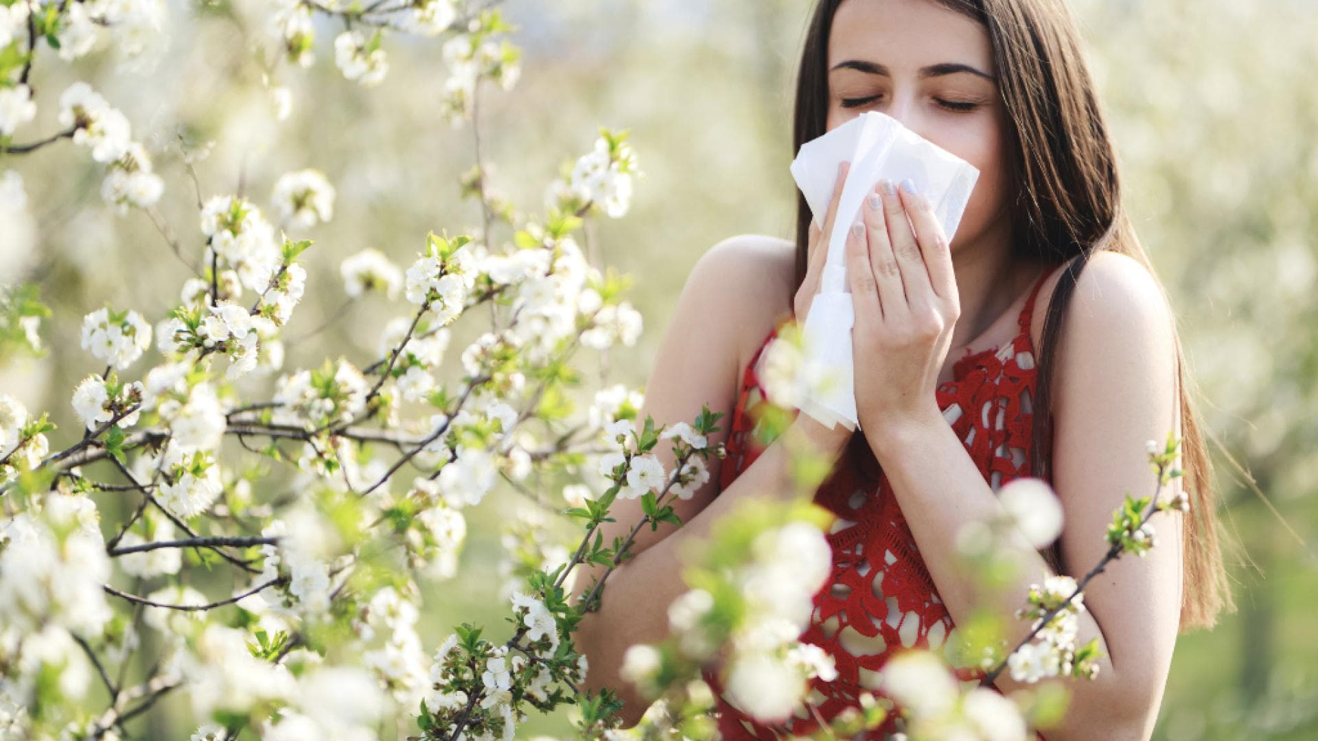 Pollenallergie-So-bekommst-du-Heuschnupfen-in-den-Griff