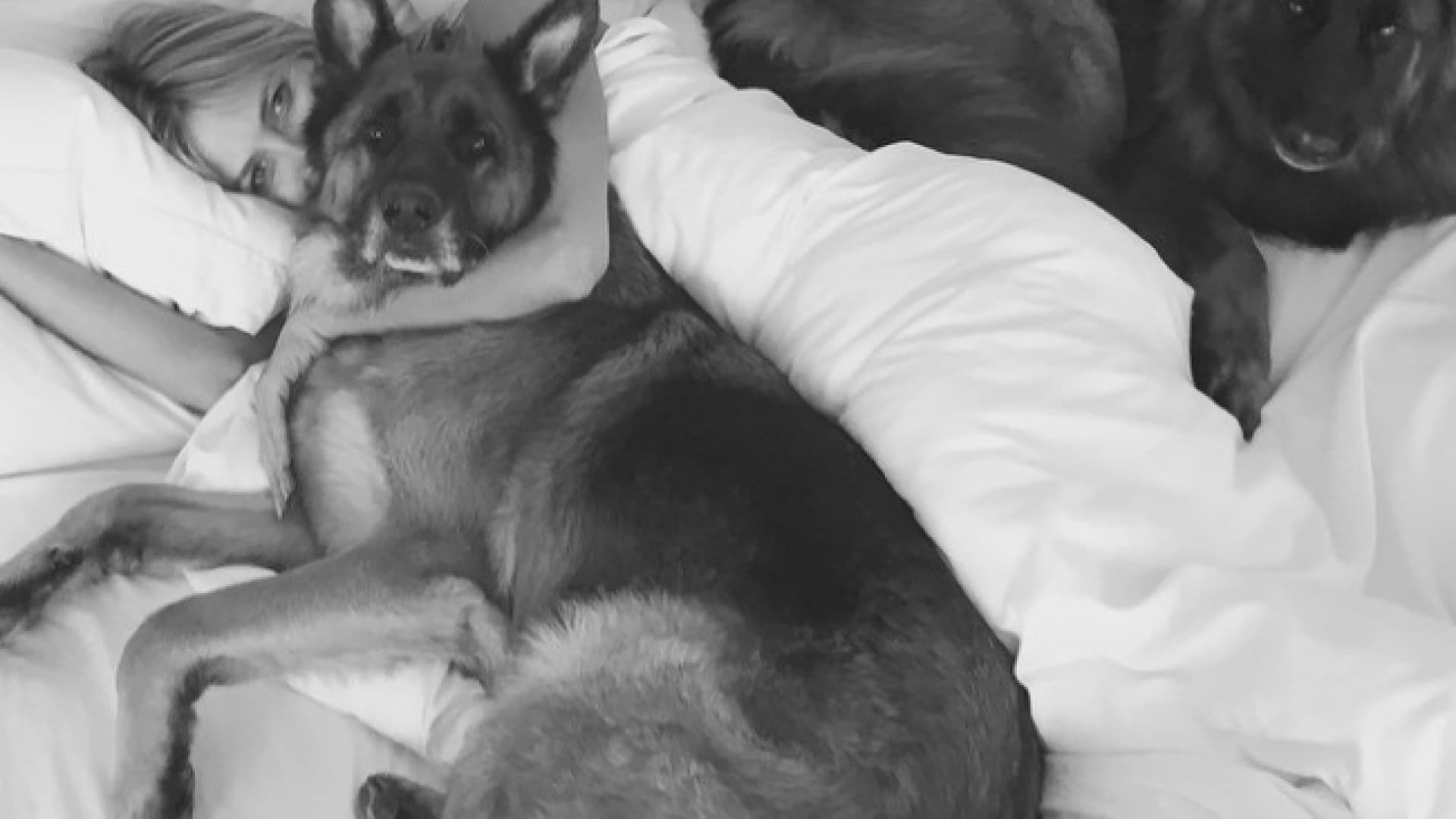 Heidi Klum erntet fiese Kommentare nach NacktBild mit Hund OK! Magazin