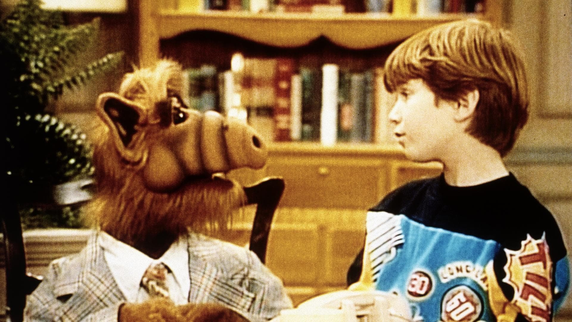 Alf Das wurde aus den Schauspielern