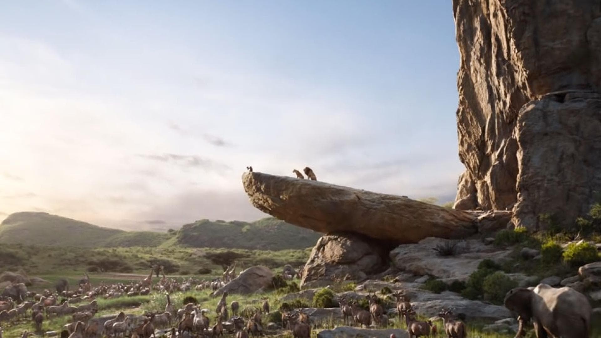 "König der Löwen"Neuauflage Das sind die ersten Bilder