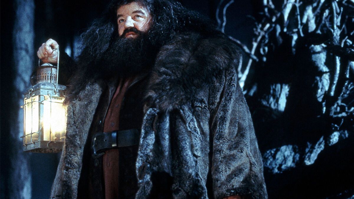 Harry Potter Hagrid Wie Schlecht Geht Es Ihm Wirklich