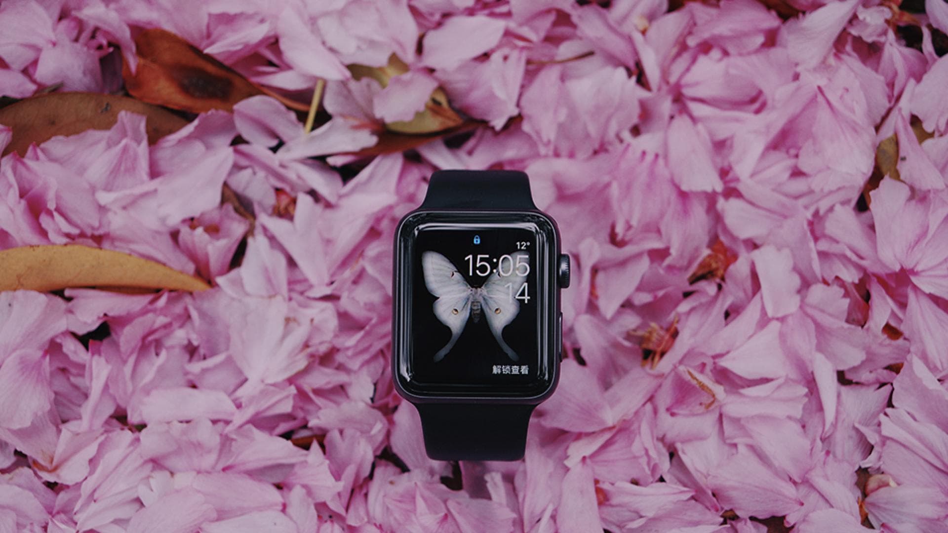 Apple Abnehmen Fitness