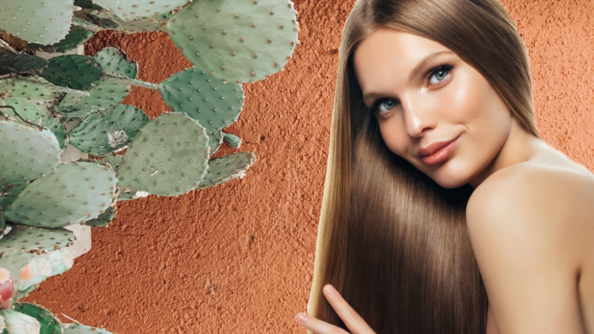 hautpflege mit kaktus powerwirkstoff