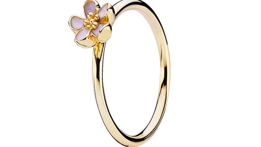 Ring, ca. 350 Euro von Pandora Ring, ca. 350 Euro von Pandora