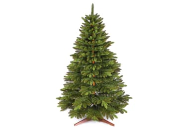 Tannenbaum mit Zapfen