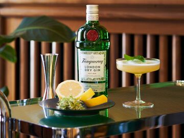 Tanqueray Gin Cocktail