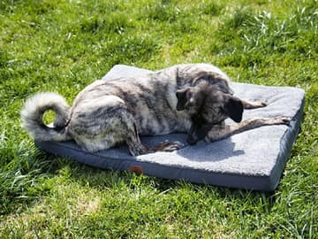 Bedsure Hundebett Test